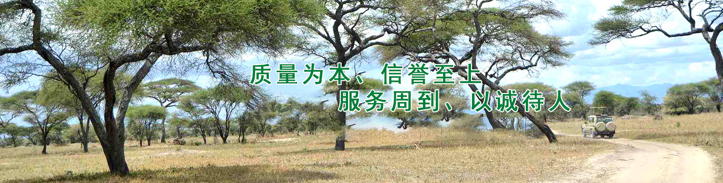 球型截止閥